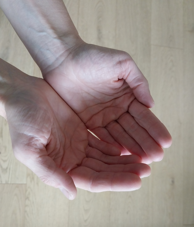 Bild für Für SpenderInnen